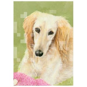 Rysunek techniką mieszaną Saluki na cele charytatywne