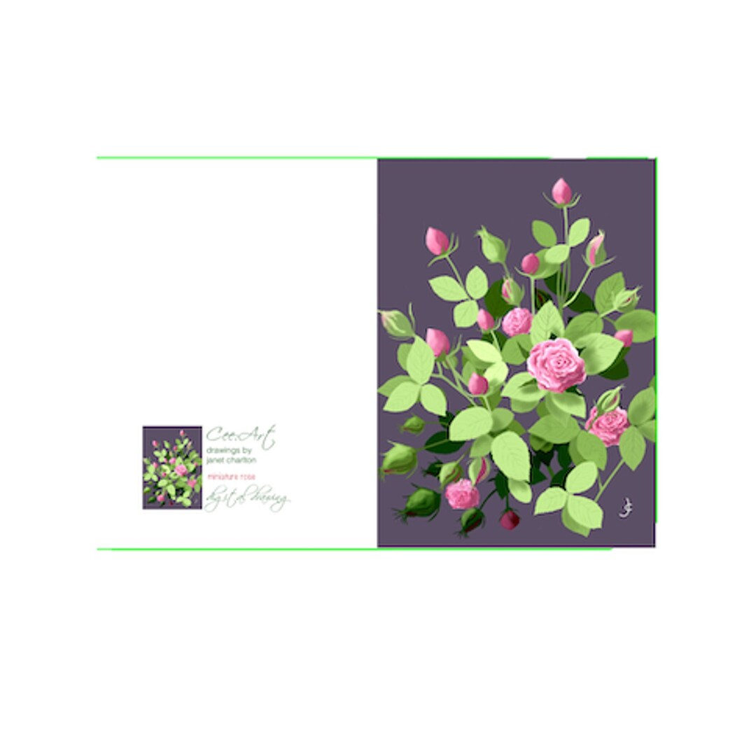 Blank Greeting Card of Pink Rose Digital Drawing for Download - for ...