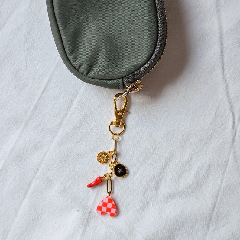 May include: A gold-toned charm with various pendants, including a red chili pepper, a black star, a gold coin, and a red and white checkered heart. The charm is attached to a green pouch with a gold zipper.