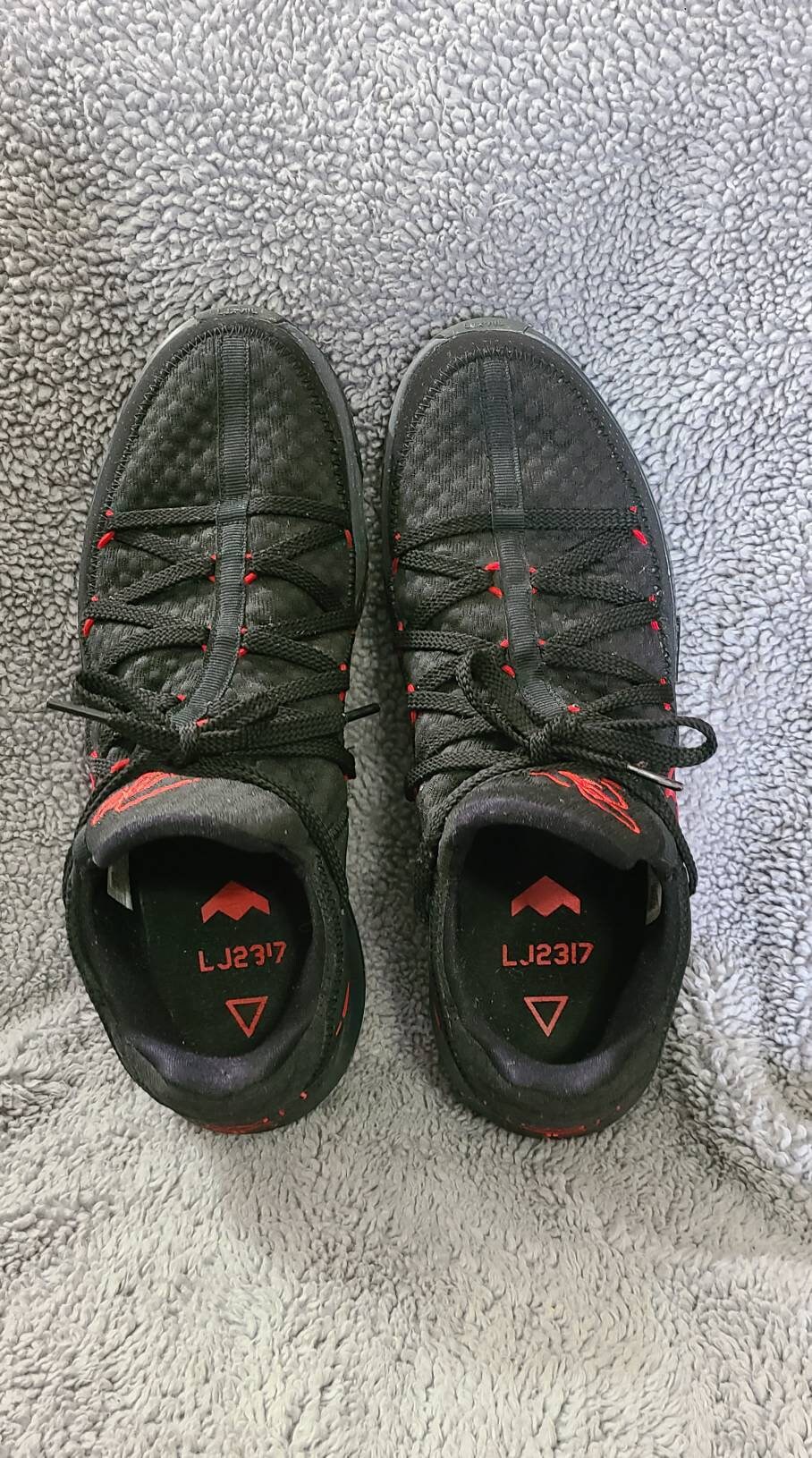 lj2317