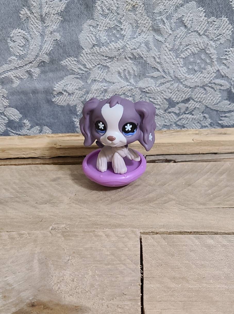 Lps purple hotsell cocker spaniel