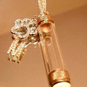 A gold and silver necklace to carry your beloved pets ashes with your choice of Letter.