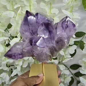 Large Bahia Amethyst Cluster on Stand, Phantom Amethyst