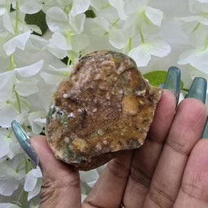 May include: A rough, natural crystal formation with a mix of brown, tan, and green hues. The crystal has a textured surface and is held in a hand, with white flowers in the background.