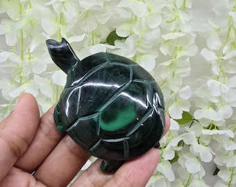 Malachite Turtle