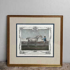Antique European The Portrait of Lamprey Horse Engraving, Seymour