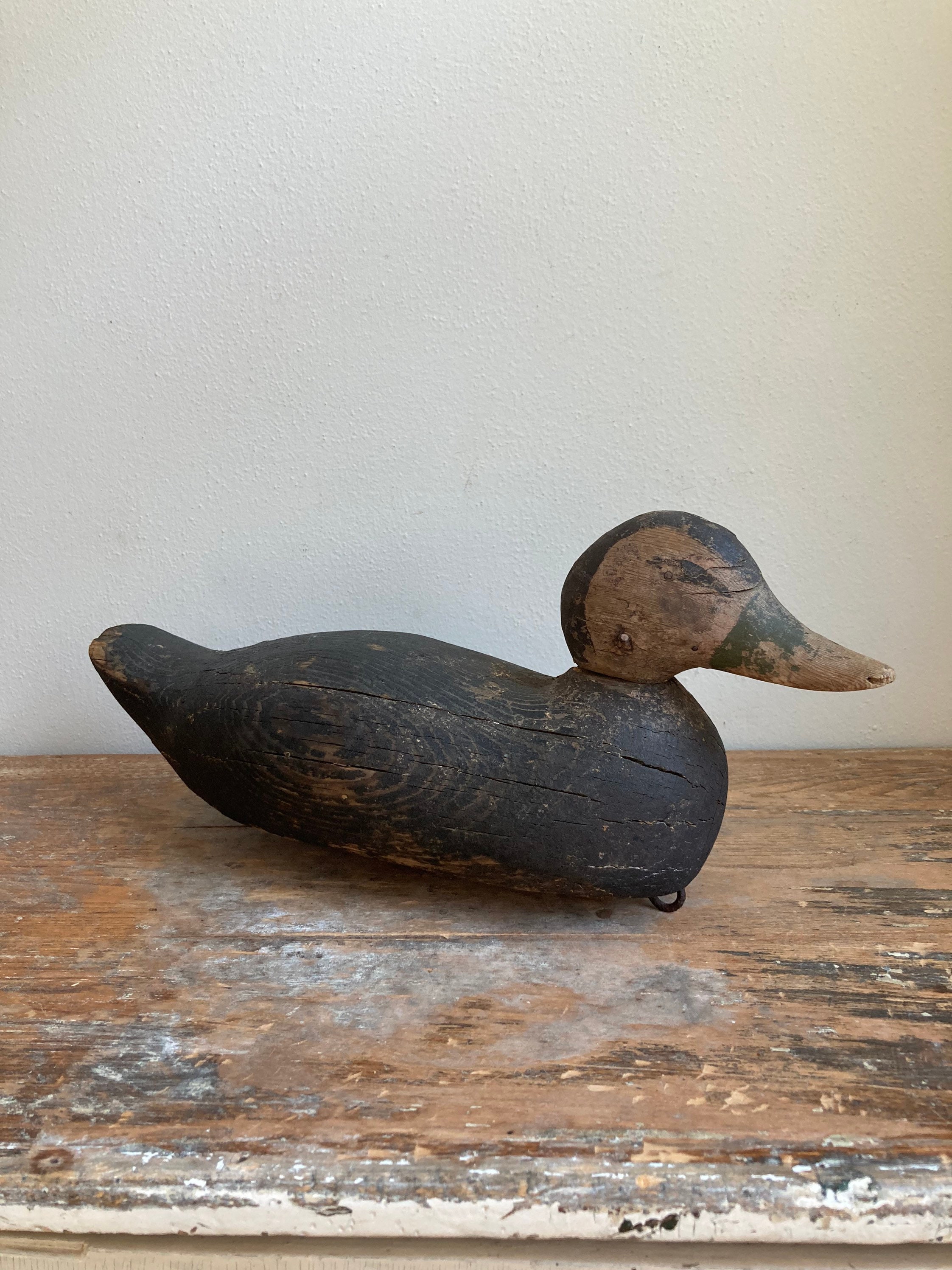 Antique Cork Black Duck Working Decoy with Original Paint Circa 1920’s agrohort.ipb.ac.id