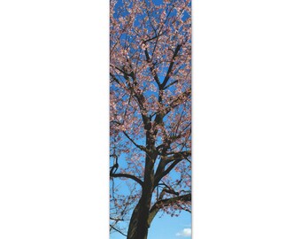 Impresión en lienzo Sakura – Fotografía de flores de cerezo japonesas, arte Hanami