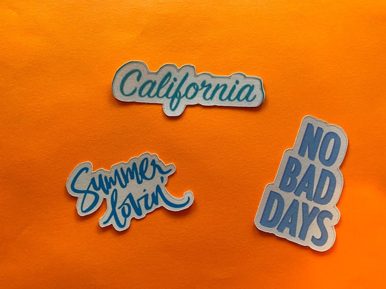 pineapple van turtle Fun BLUE aesthetic vsco stickers girl power popsicle life is good california flower hearts and more!!