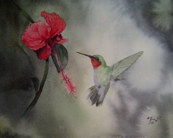 Hummingbird Flower by Paul Downs-Watercolor Painting-Bird Art- Original - Wall Art - Fine Art Print