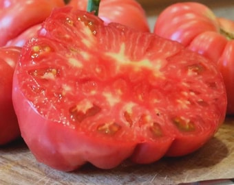 Delicious Tomato Seeds | NON-GMO | 50 Seeds|7+ pounds | Indeterminate