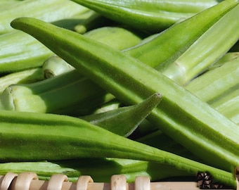 50 silver queen Okra Seeds.