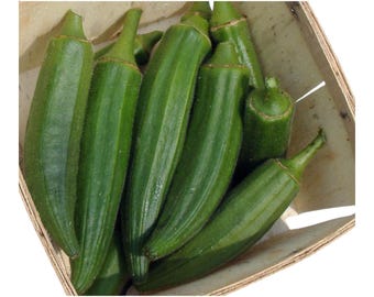 30 Jade Okra Seeds | Non-GMO | Heirloom Vegetable Garden Seeds