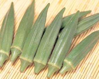 Okra Seeds 25 Jambalaya, (F1)  | Extra Early maturing | Abelmoschus esculentus