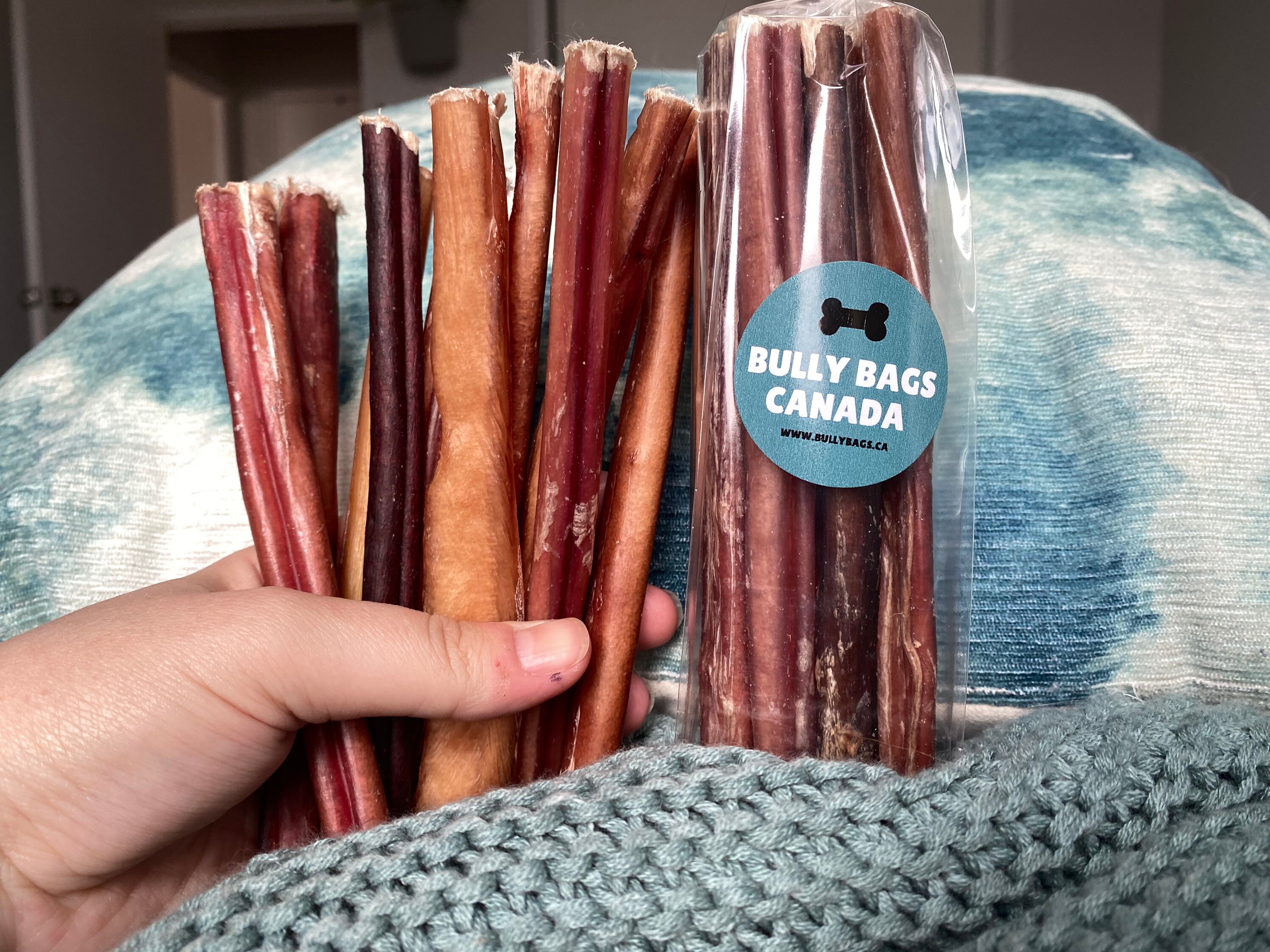 NEW 6 Canadian Beef Bully Sticks Your Choice of Either a 5 Etsy