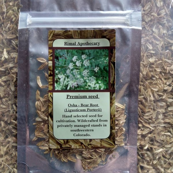 Select osha seed ligusticum porteri advanced gardening.