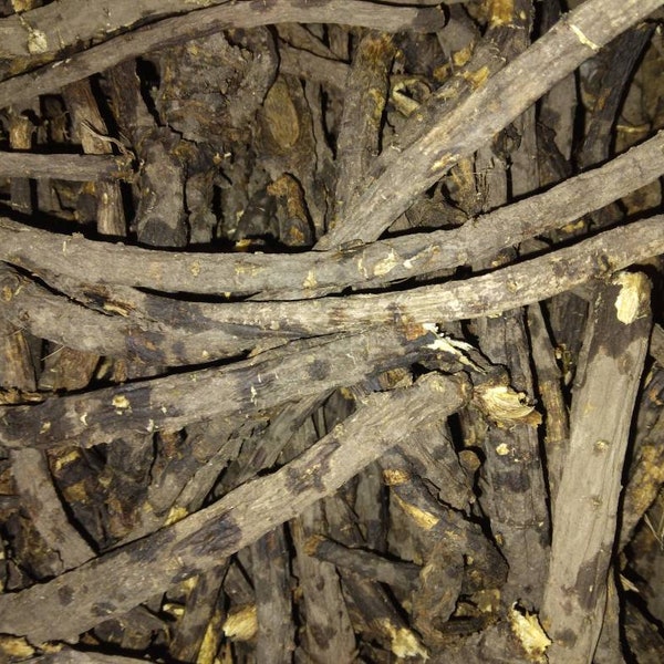 Premium graded dried Osha root . (Ligusticum porteri)