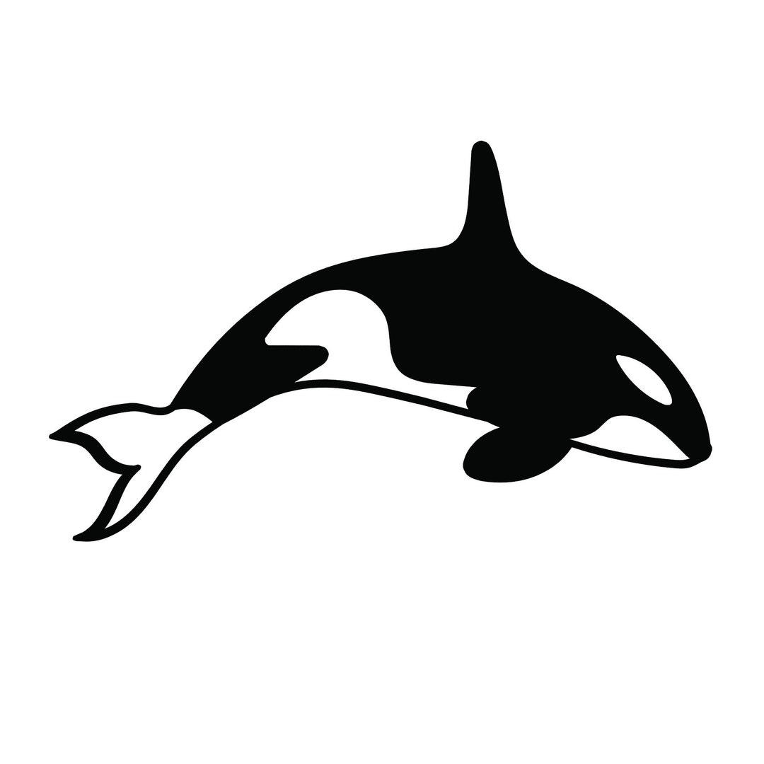 Killer Whale Stencil - Etsy