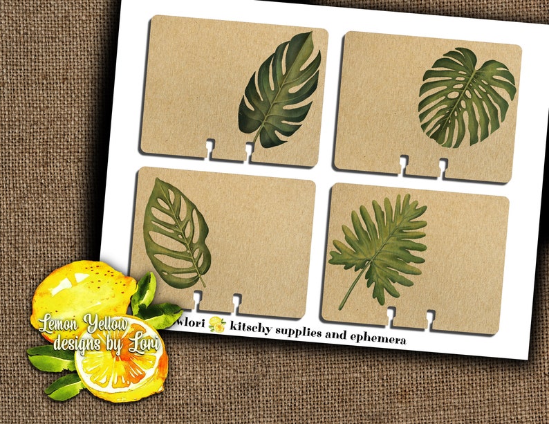 Printable Rolodex Cards Monstera Palm Tree Leaves for Bible - Etsy