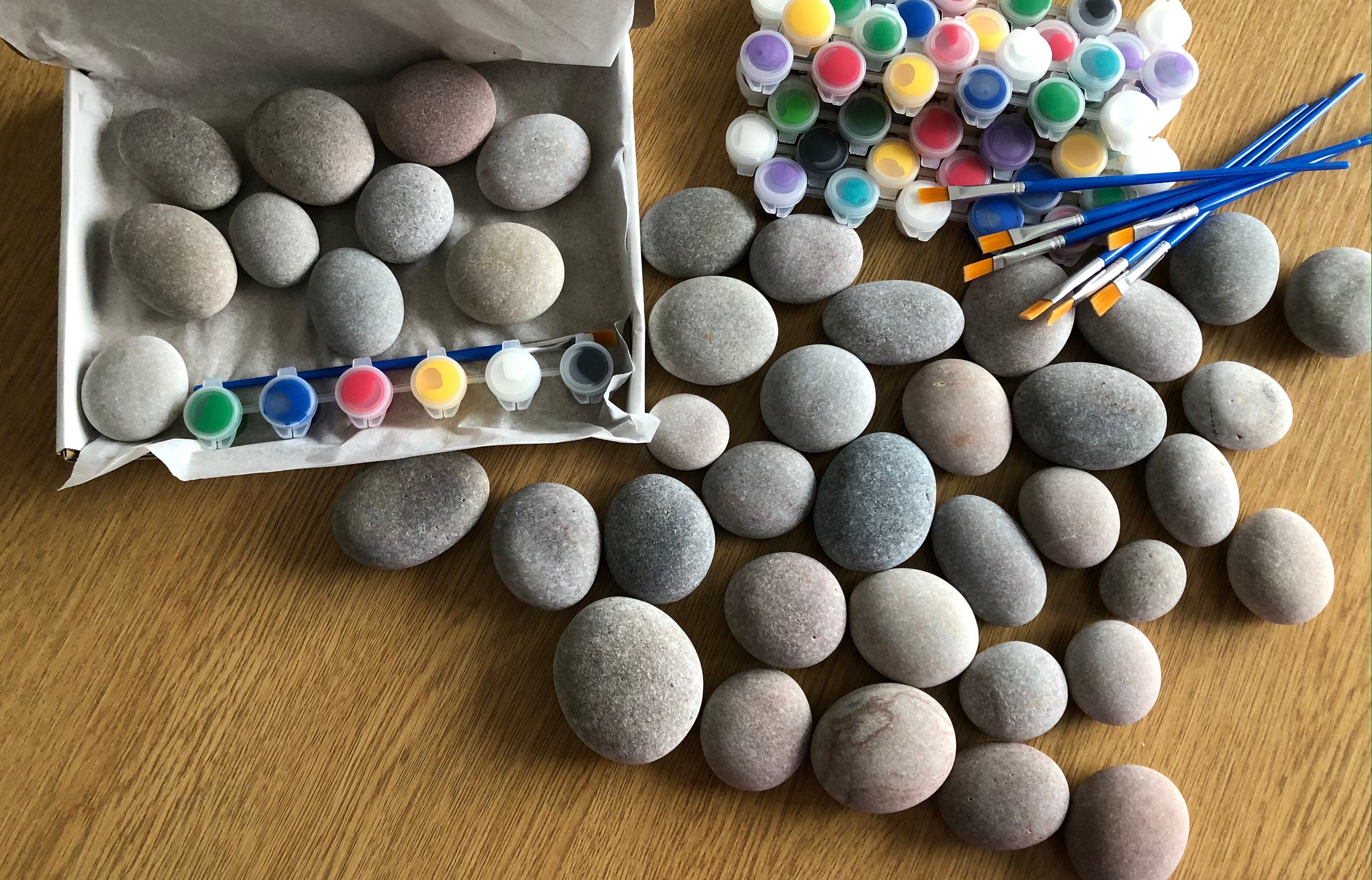 Stone painting kit set 10 Smooth pebbles Acrylic paint and Etsy