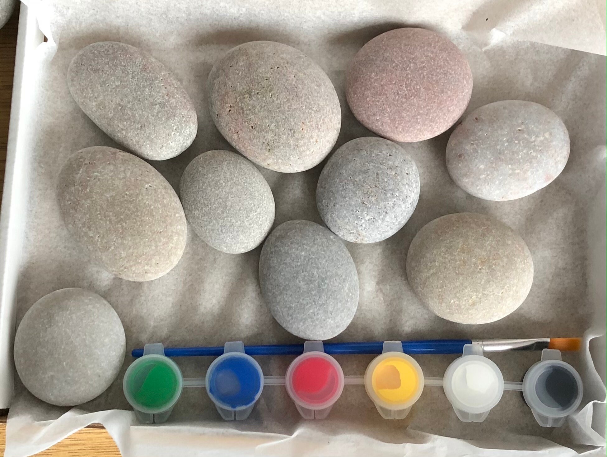 Stone painting kit set 10 Smooth pebbles Acrylic paint and Etsy