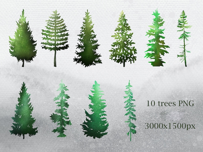 Forest Graphics Conifers Pine Trees Winter tree clipart Watercolor Pine Trees Clipart Woodland Watercolor forest