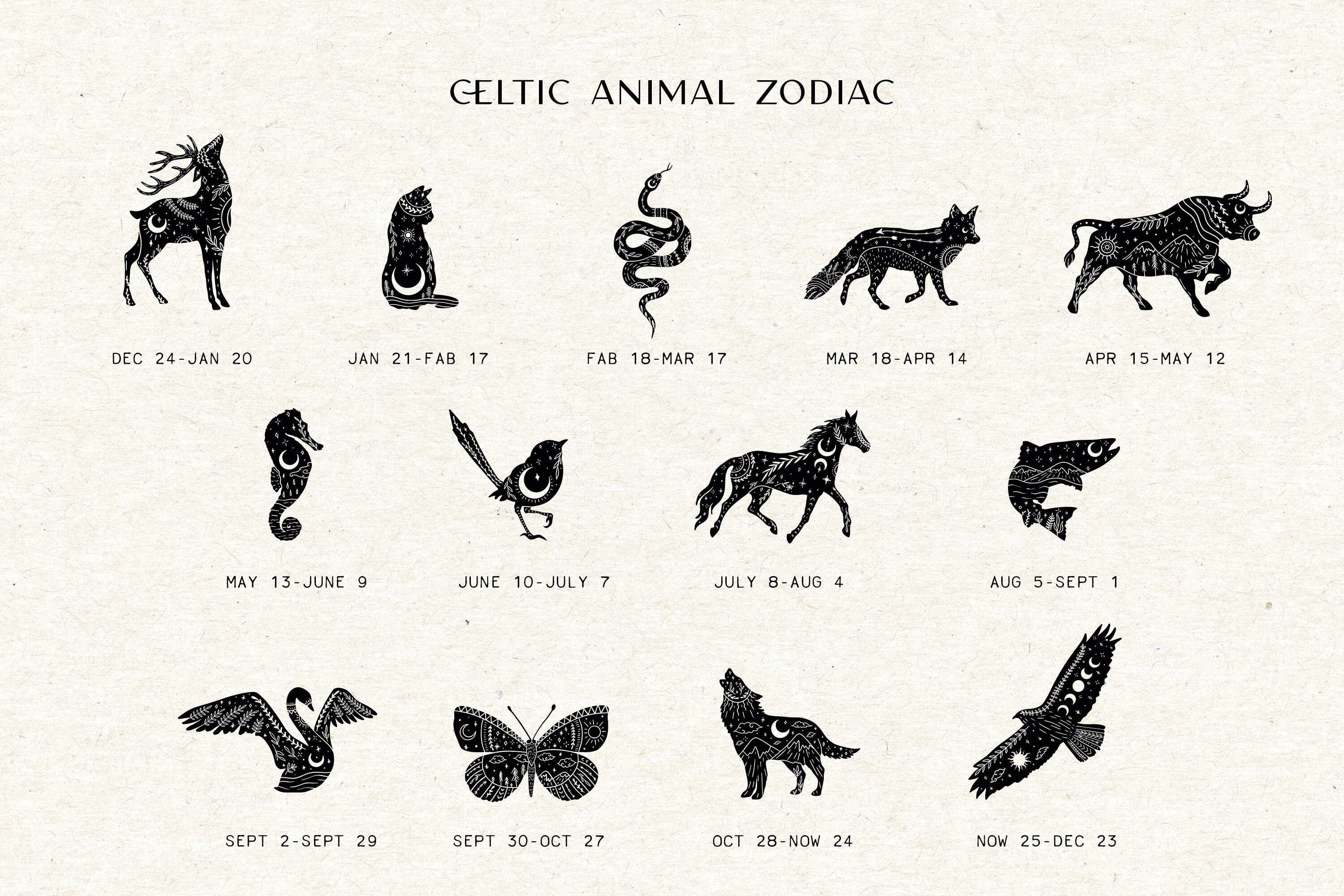 Haben Zodiacs Geisttiere Just for kids