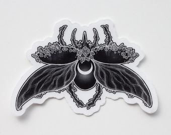 Beetle - transparent stickers