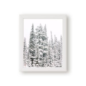 Winter Wonderland Photo, 8x10 Canvas Print, Snowy Evergreen Trees, Original Real Photograph, Winter Nursery Decor