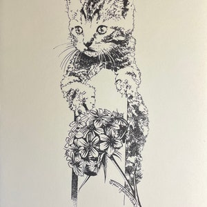 Kitten Hanging On