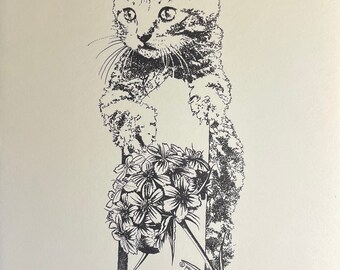 Kitten Hanging On