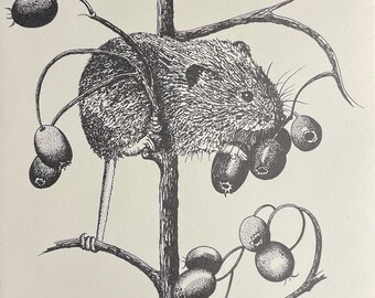 Harvest Mouse, Pem Pfisterer Clark