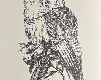 Tawny Owl, Pem Pfisterer Clark