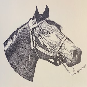 Kentucky Thoroughbred Horse, Pem Pfisterer Clark