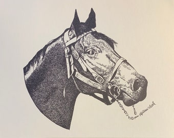 Kentucky Thoroughbred Horse, Pem Pfisterer Clark