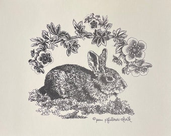 Eastern Cottontail Rabbit, Pem Pfisterer Clark