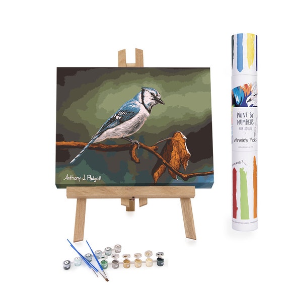 Curious Blue Bird Paint by Numbers Kit for Adults Free Shipping From  California, USA 