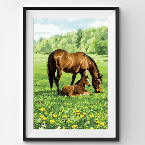 Horse & Foal Large Paint by Numbers Kit for Adults Free Shipping From  California, USA -  Australia