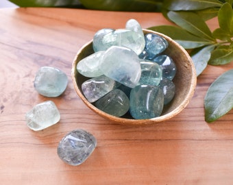 Fluorite Tumble Stone - Small, Healing Crystals, Focus Crystal, Stability Crystal, Cleansing Crystal, Green Fluorite