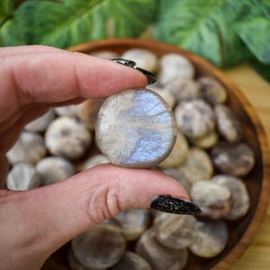 Pode incluir: Uma pedra da lua oval polida, segurada entre os dedos, exibindo tons iridescentes azuis e brancos. A pedra é cercada por outras pedras semelhantes em uma tigela de madeira, com folhagem verde ao fundo. As pedras têm uma forma lisa e arredondada.