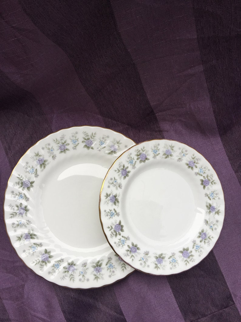 Minton Alpine Spring Collectible Decor Gift Floral Salad Plate and Butter Plate