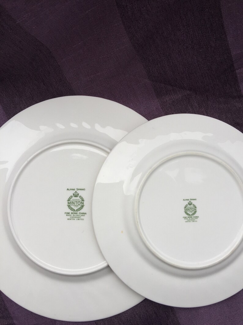 Minton Alpine Spring Collectible Decor Gift Floral Salad Plate and Butter Plate