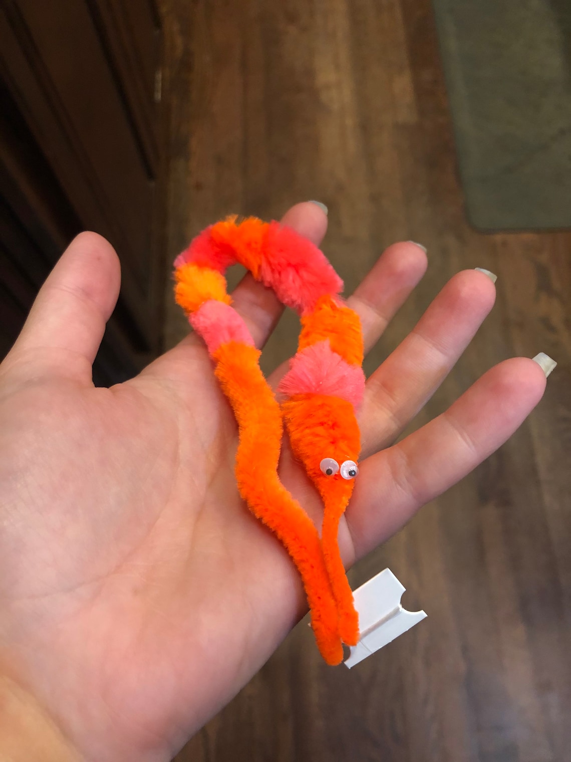 Completely Custom Worm on a String read desc. | Etsy