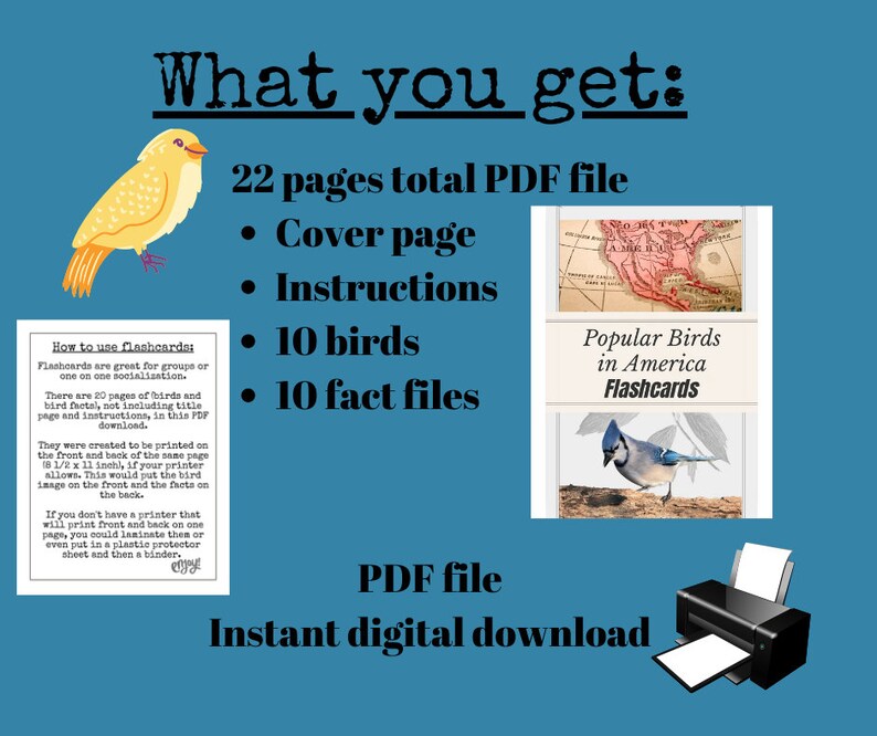 Bird Flashcards Bird Flash Cards Dementia Activity Dementia Etsy