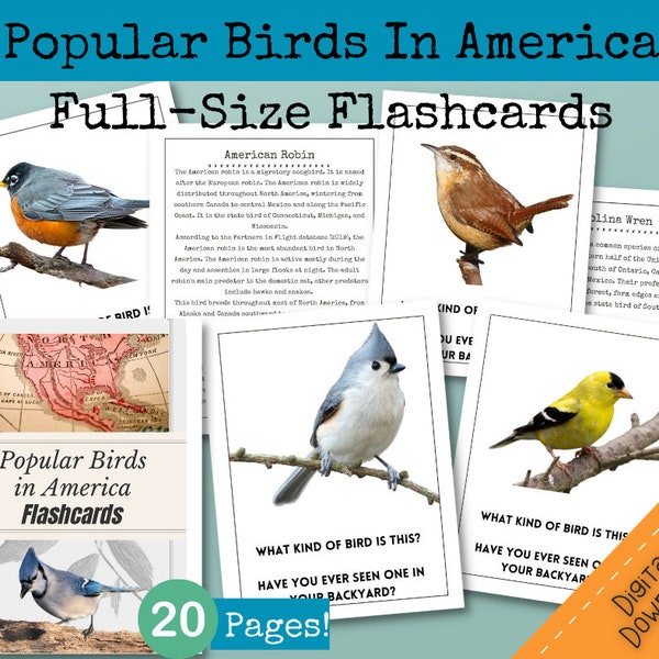 Bird Flashcards, Bird Flash Cards, Dementia Activity, Dementia Flashcards, Alzheimers Activity, Alzheimers Flashcards, Downloadable