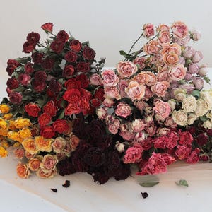 11 Colors Dried Rose Boundle Dried Flowers Wedding Home Decoration Wedding Floral Art-Wholesale