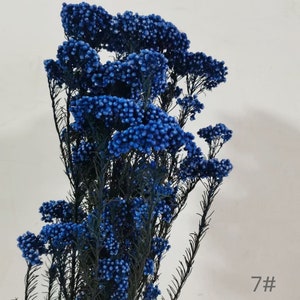 Konservierte Reisblume, weiße Blumen, Hochzeitsblumen, Füllstoff, getrockneter Blumenfüller Helichrysum Pfirsich