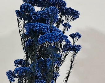Flor de arroz conservada, flores blancas, flores de boda, relleno, relleno de flores secas Helichrysum melocotón