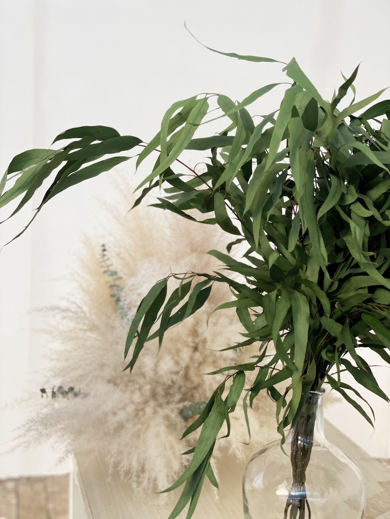 FLOWERWOOD Feather Willow Eucalyptus - Thumbnail 4
