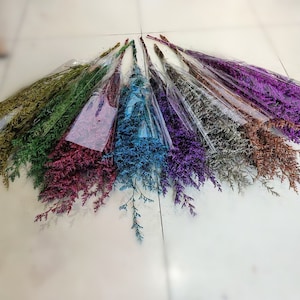 Könnte beinhalten: Eine Auswahl an Trockenblumensträußen in verschiedenen Farben, darunter Grün, Rot, Blau und Lila. Jeder Strauß ist in klarem Kunststoff verpackt. Die Blumen haben eine zarte, federartige Textur und sind fächerförmig angeordnet.